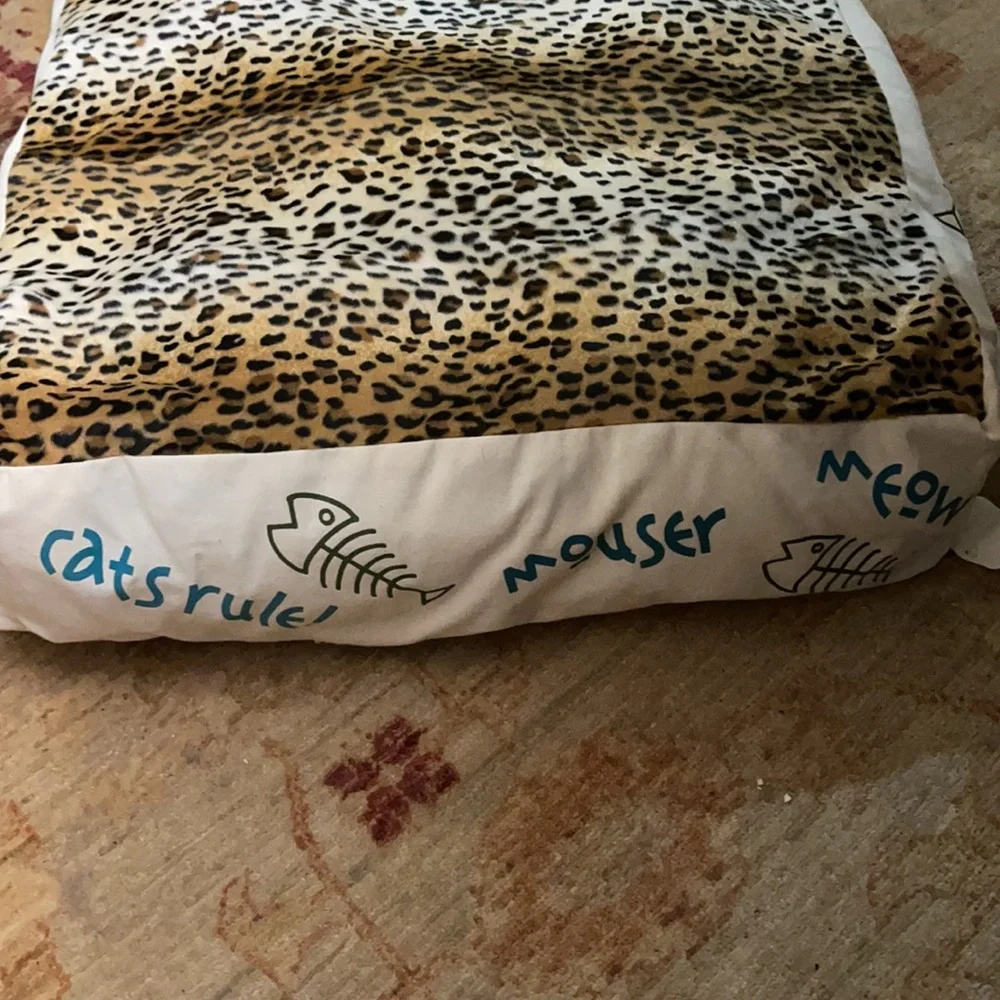 New Cat bed Design Legacy